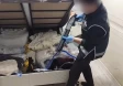 Sosyal medyada kan donduran ilanlar!