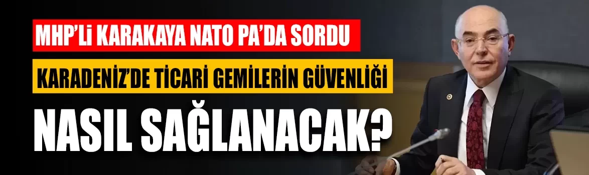 Karadeniz’de ticari gemilerin güvenliği nasıl sağlanacak?