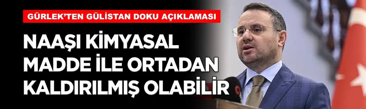 Bakan Gürlek: 'Gülistan Doku'nun naaşı kimyasal maddelerle ortadan kaldırılmış olabilir'