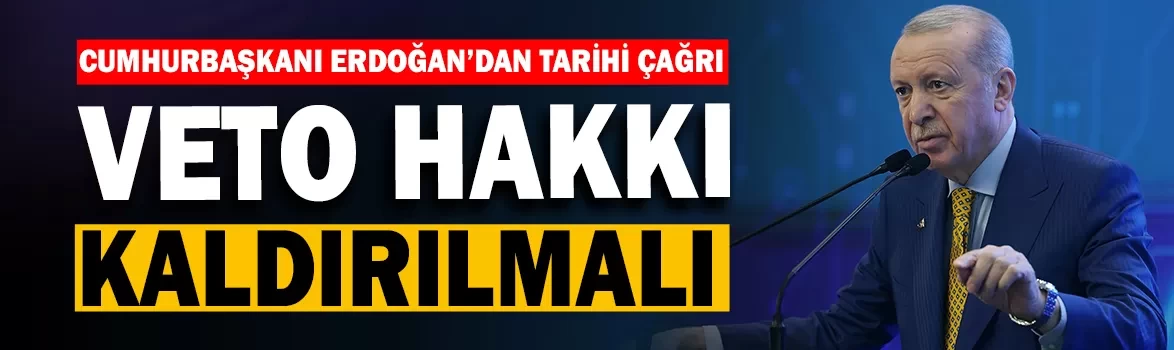 Cumhurbaşkanı Erdoğan Bloomberg için kaleme aldı: Veto imtiyazı kaldırılmalı