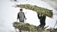 Muş’ta besicilerin kızaklı zorlu kış mesaisi