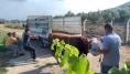 Kameralar kayıttayken vatandaşı tekmeledi