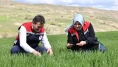 Verim yüzde 50 düşebilir, hemen tarlaya gidin!