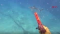 20 metre derinlikte köpek balığıyla karşılaştı! O anları kameraya kaydetti