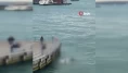 Eminönü Sahili’nde korku dolu anlar!