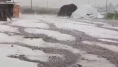 Çıldır'da dolu ve fırtına kabusu