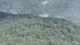 Balıkesir’de orman yangını
