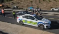 Tekirdağ’da yola çıkan büyükbaş hayvan zincirleme kazaya neden oldu