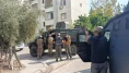 Polis ekiplerine el bombasıyla direnen şahıs gözaltına alındı