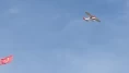 Eskişehir semalarında Türk bayrağı şöleni!