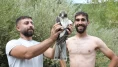 Kızıl şahinin imdadına 3 arkadaş yetişti