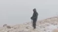 Tunceli’de kış erken geldi! Çoban koyunlarını kar altında otlattı