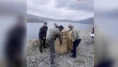Antalya'dan Bitlis'e getirildiler! Nemrut Kalderası'nda 2 yaban keçisi doğayla buluştu