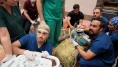 Türkiye’de ilk olacak! Deve üzerinde kök hücre tedavisi