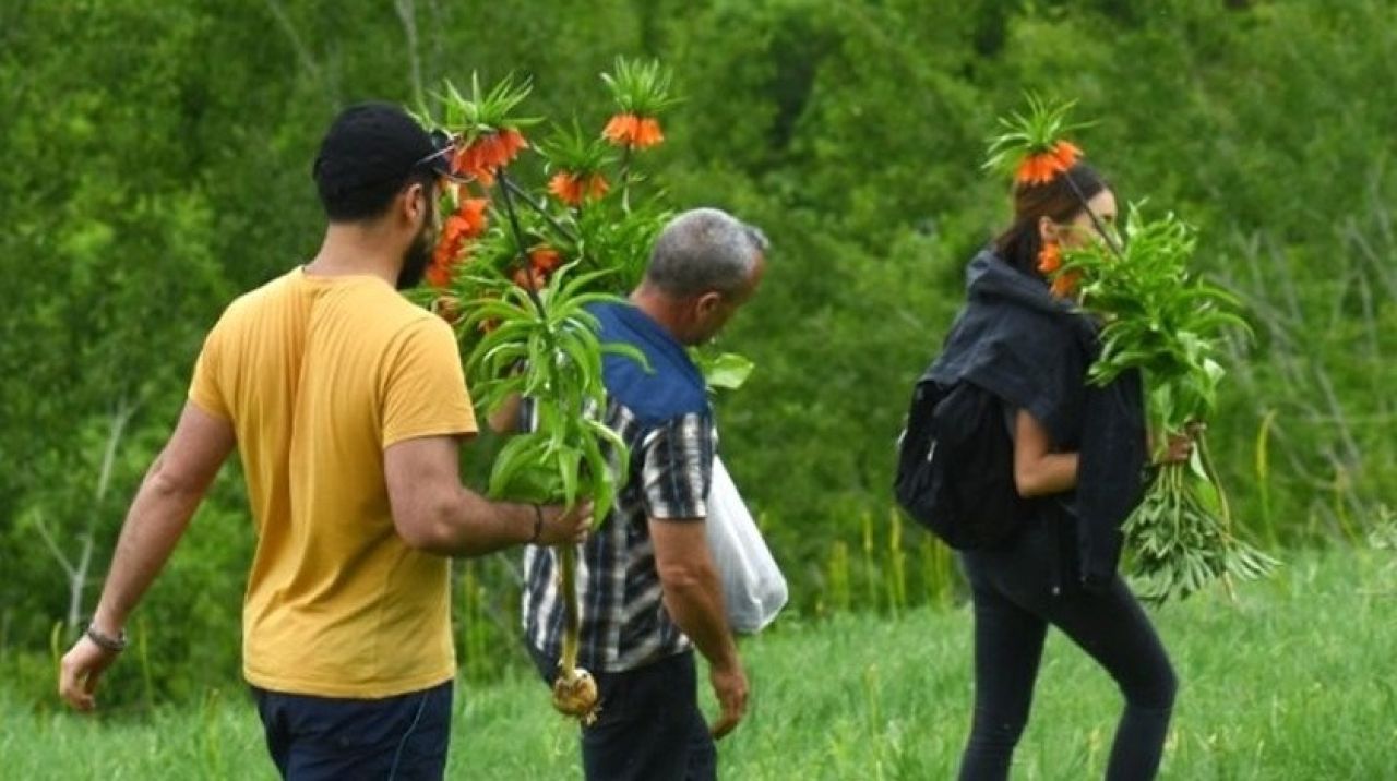 Cezası 60 bin TL ama böyle kaçırdılar