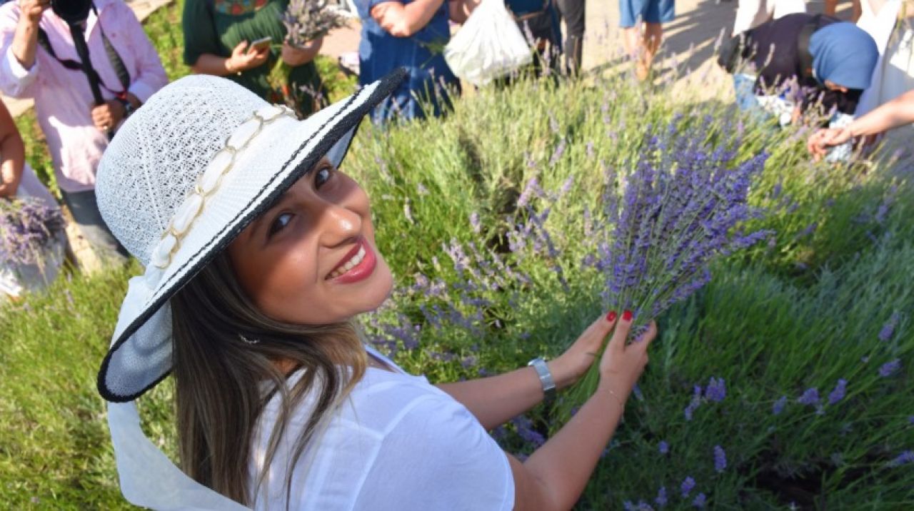 Slivri'de görkemli lavanta şenliği