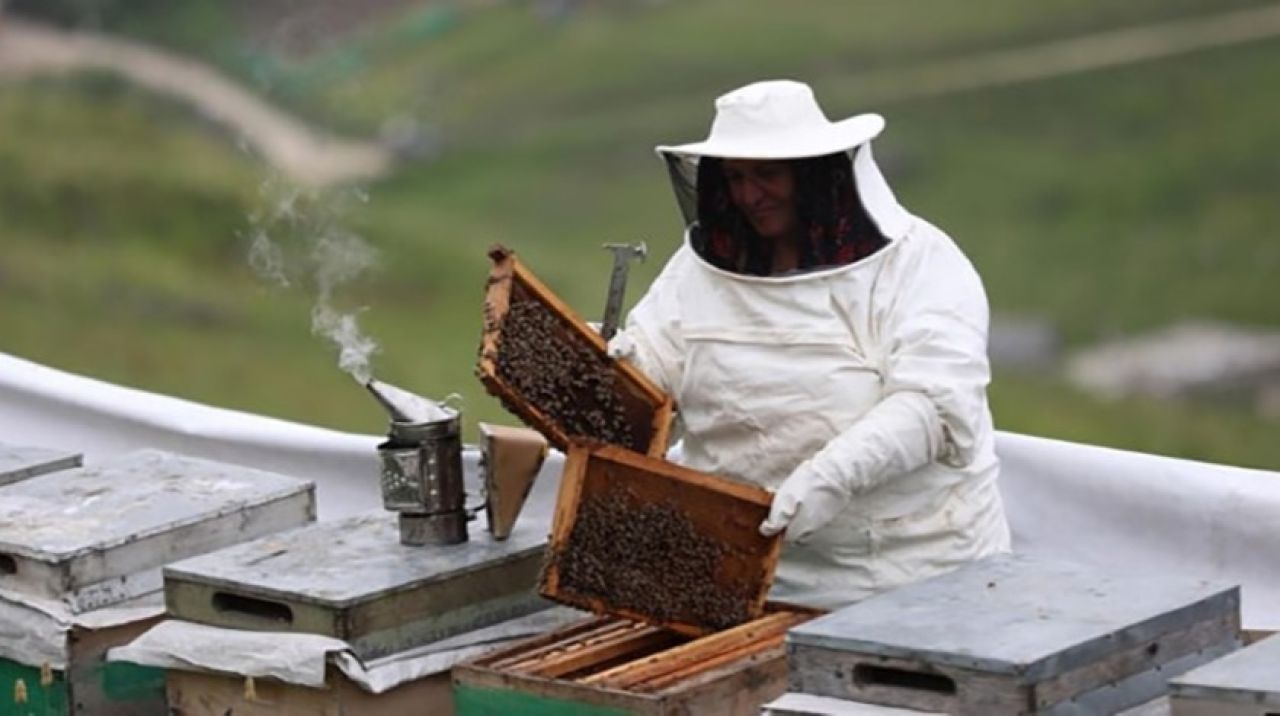 Anzer balının kilosu bin lira oldu