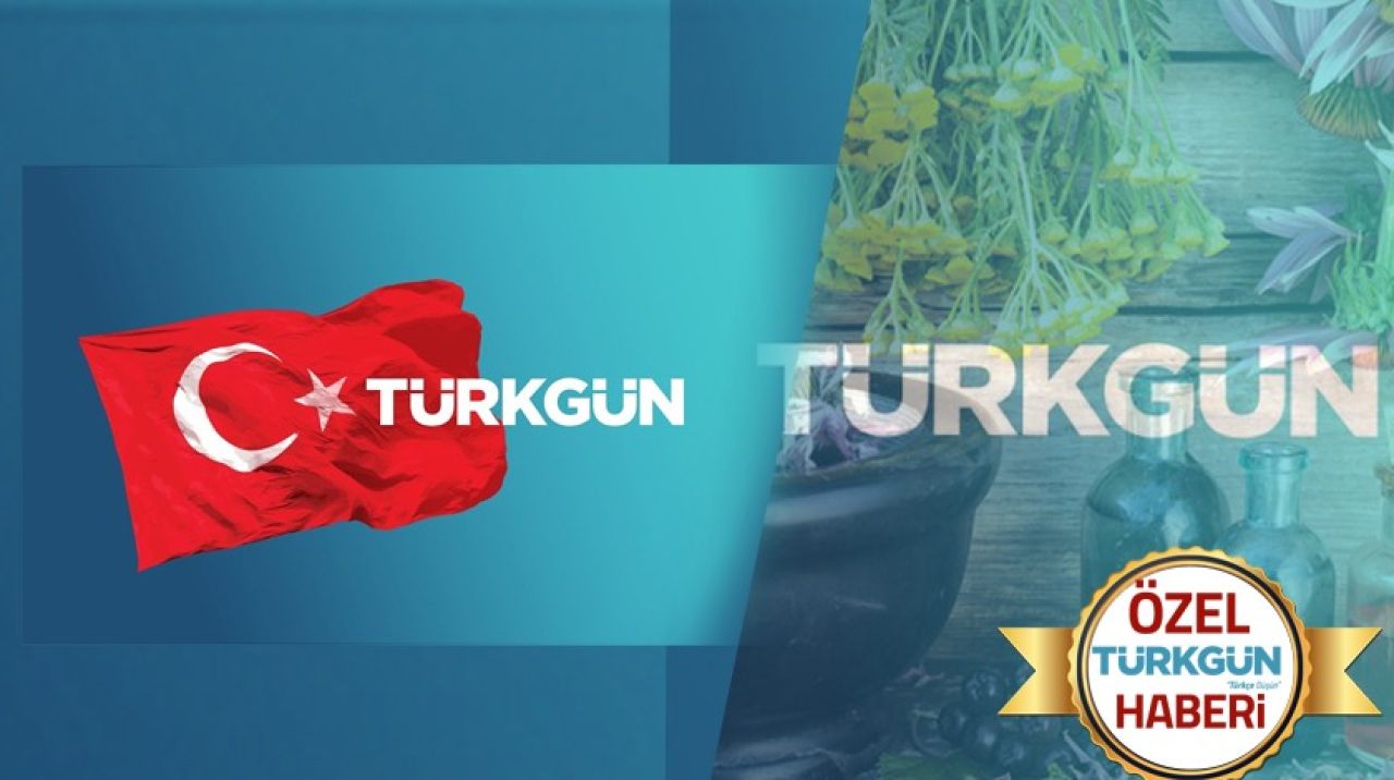 Çinliler bitkilerimizin peşinde