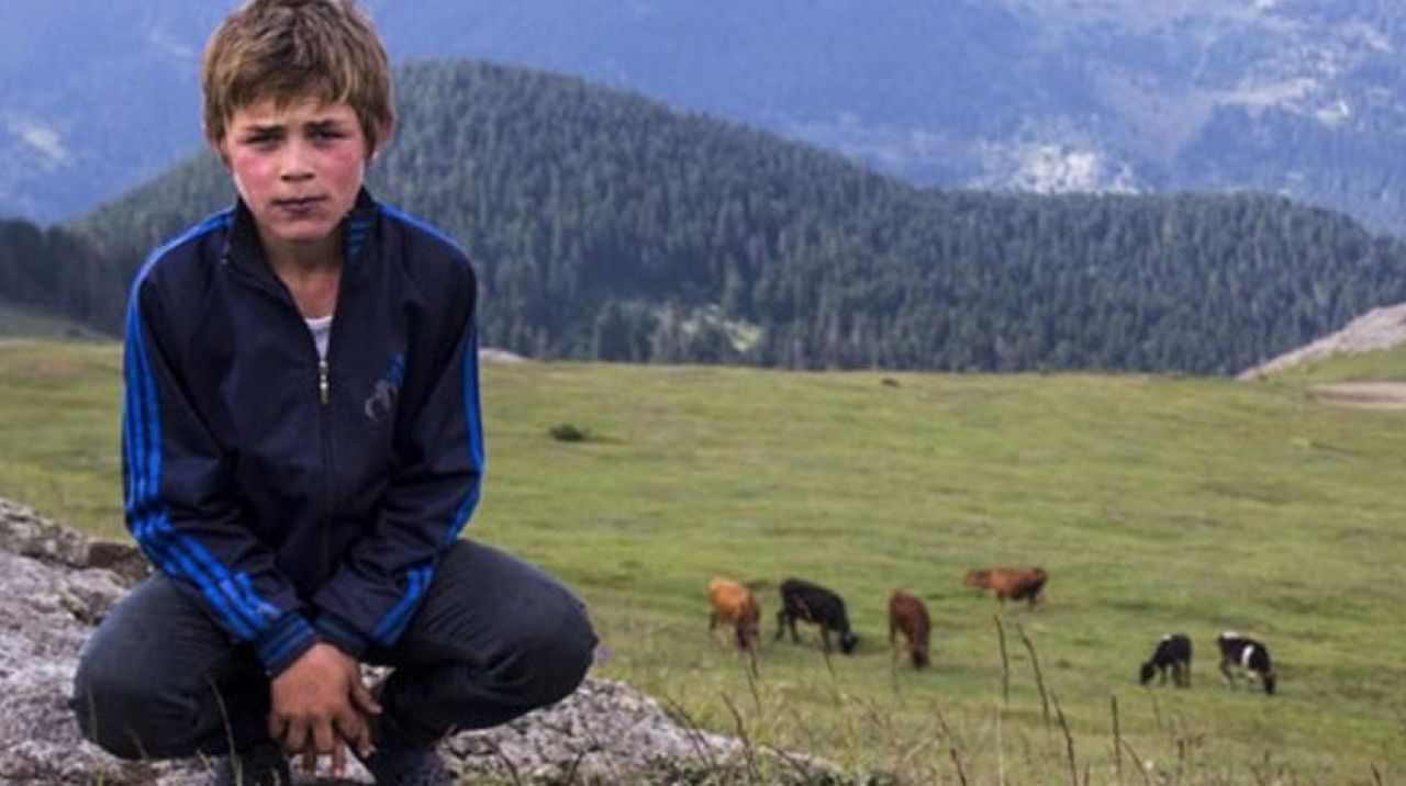 'Eren Bülbül' için sosyal medya zinciri