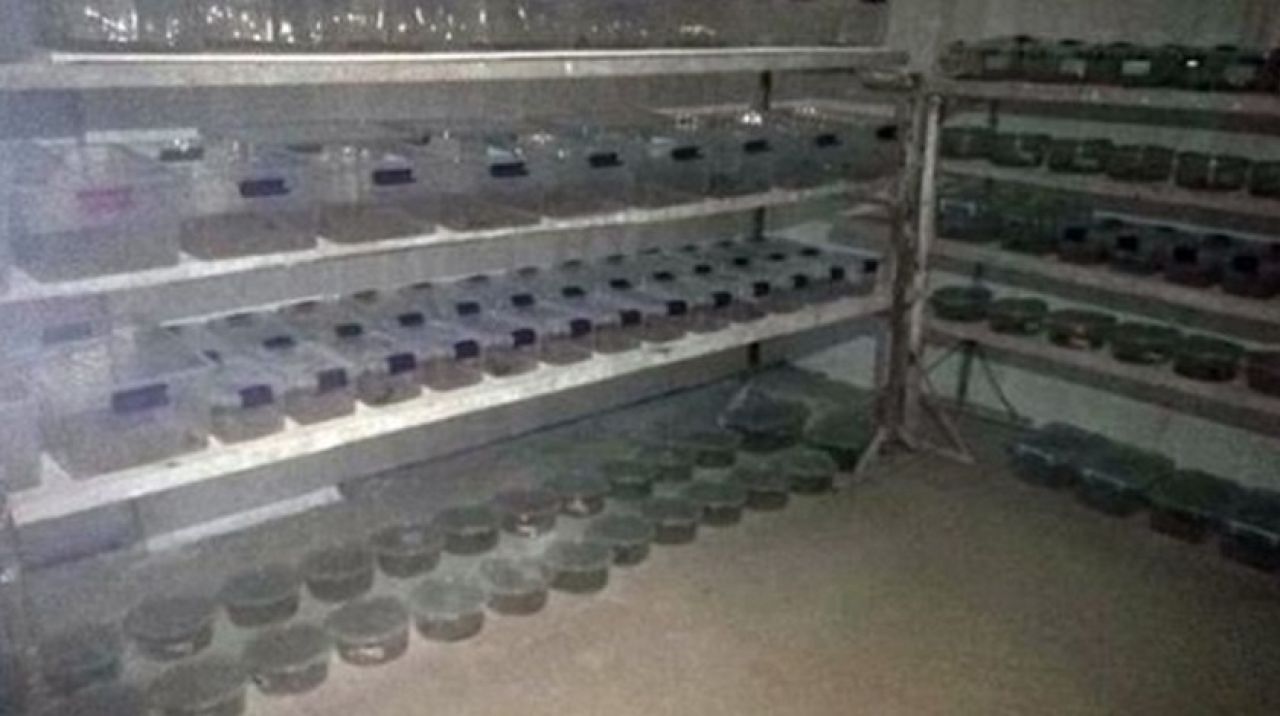 Mardin'de ele geçirildi! Litresi tam 10 milyon dolar