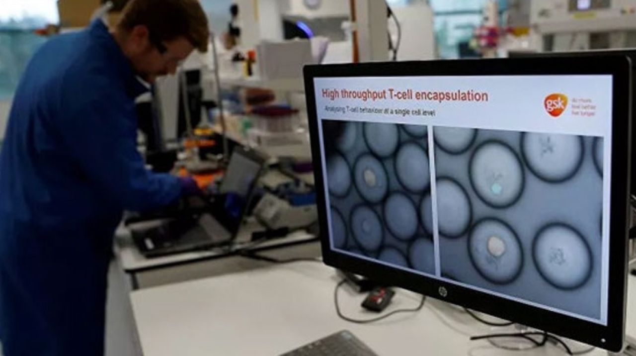 Koronavirüse karşı en zayıf kategori açıklandı