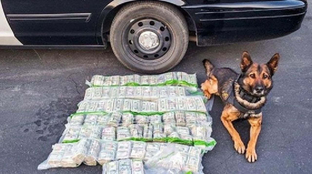 Yol kenarında yüz binlerce dolar bulundu