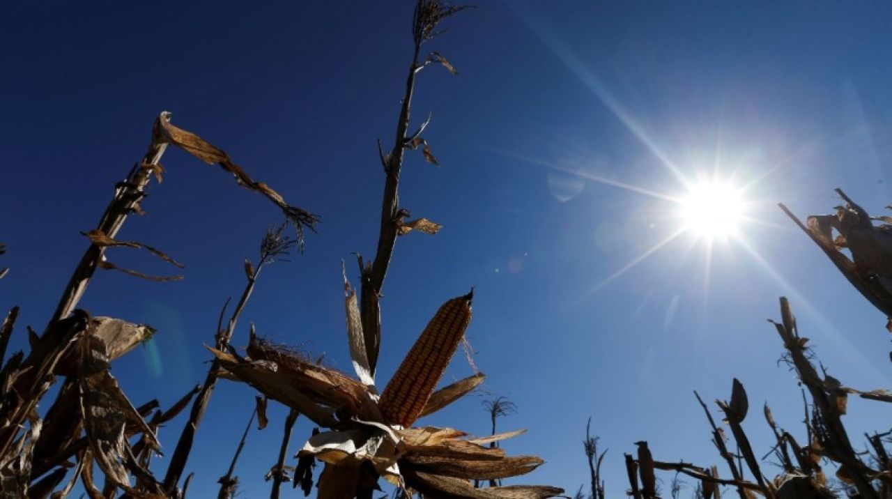 BM: Küresel sıcaklık artışı tehlikeli seviyelere ulaşabilir