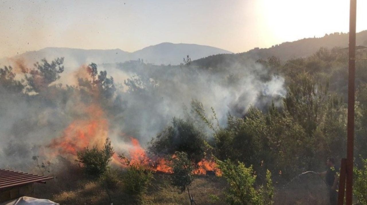 'Hatay'daki yangınlarda çok ciddi kasıt şüpheleri ortaya çıktı'