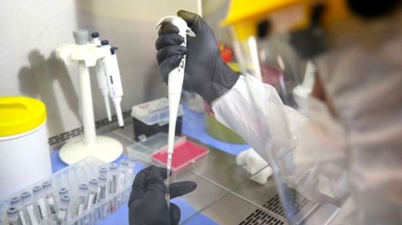 Koronanın çaresi kendi yapısında olabilir