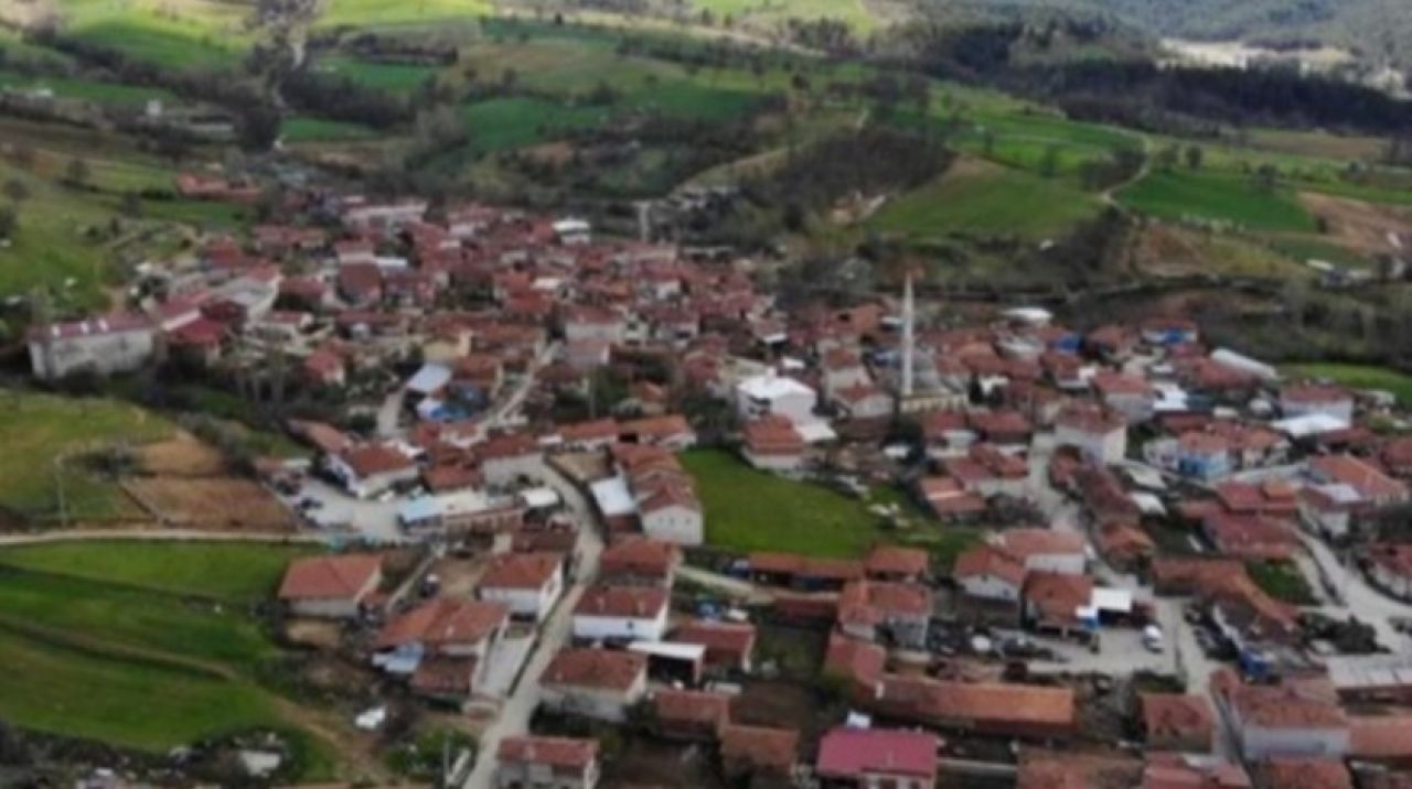 Fiyatlar uçtu! Bu köyün her yeri altın