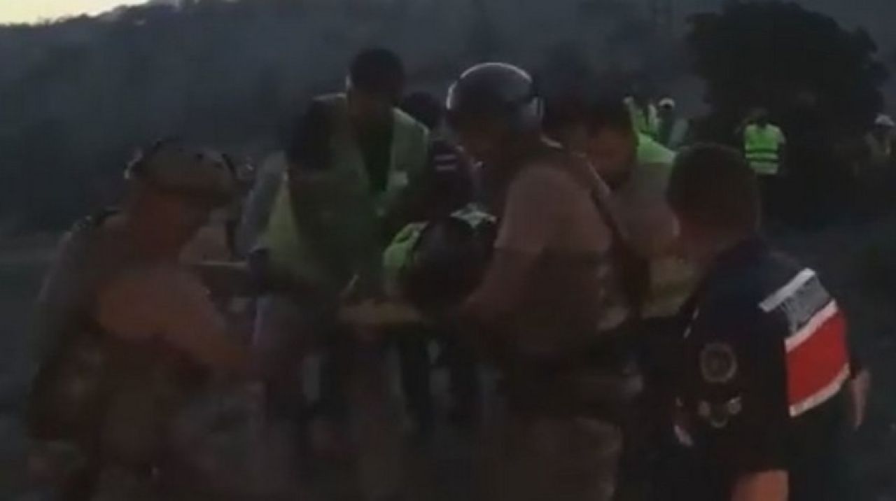 MSB: Üzerine ağaç düşen orman görevlisi hastaneye nakledildi