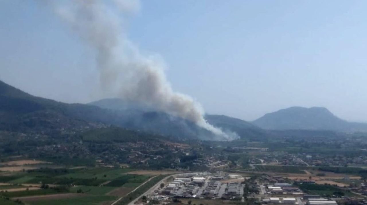 Muğla'da yeni orman yangını