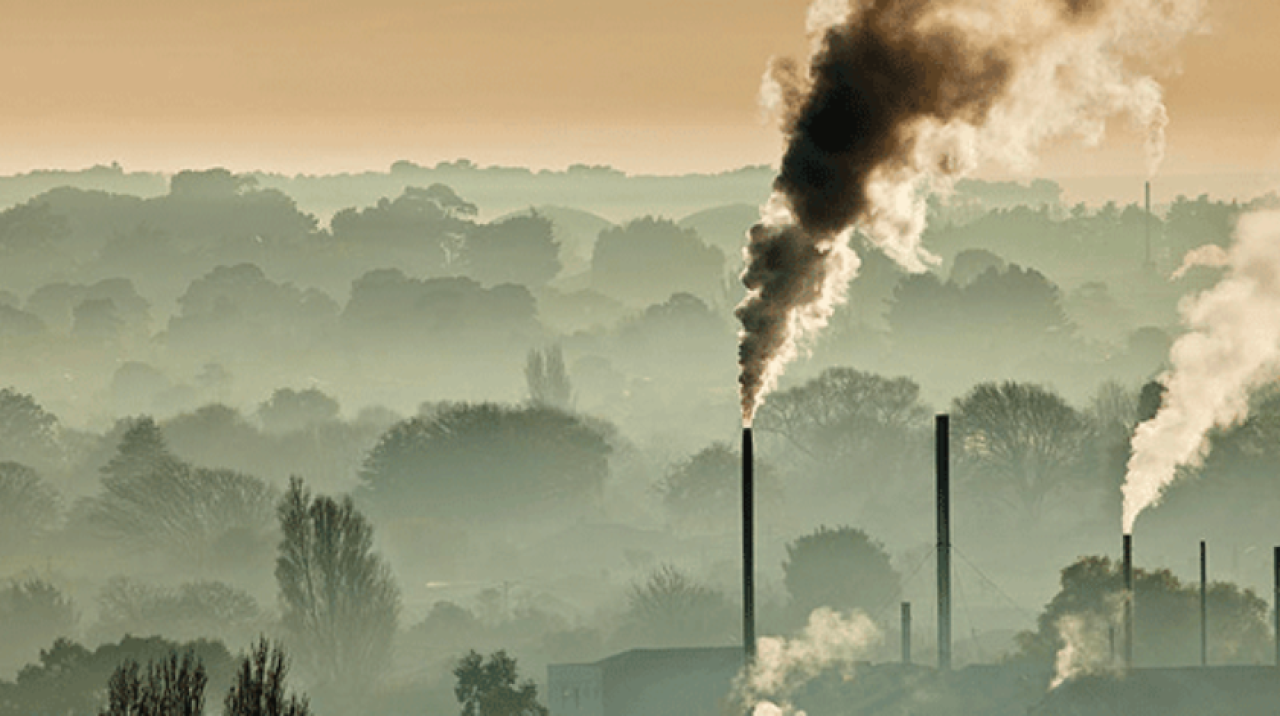 Afrika'da oksijen tükeniyor! Korkutucu boyutlara ulaştı