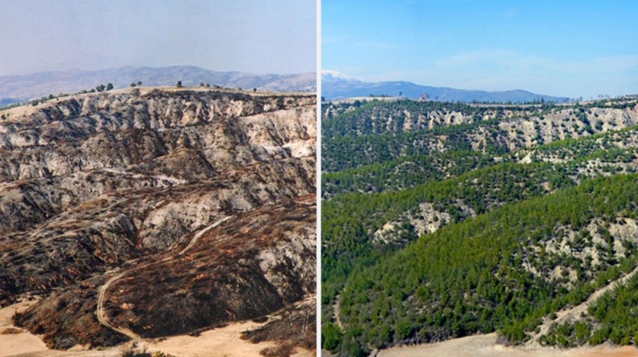 Yanan ormanların 'öncesi ve sonrası' fotoğrafları yayınlandı