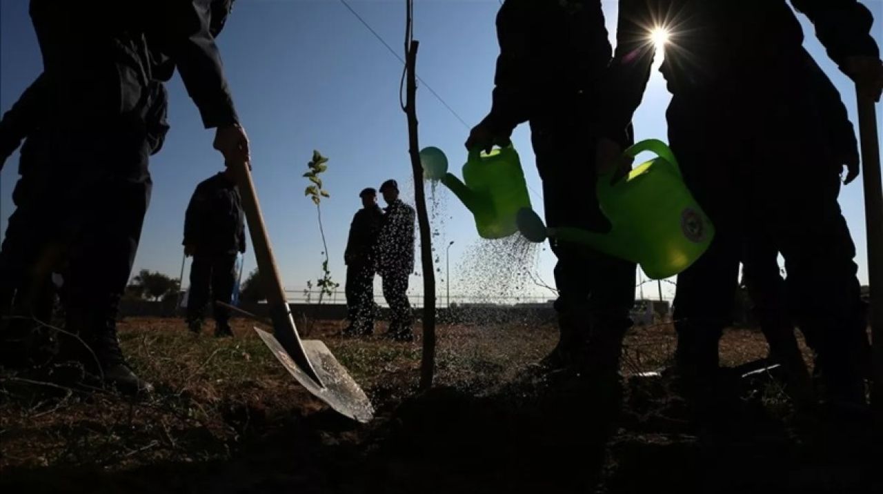 Fidanlar toprakla buluşturuldu