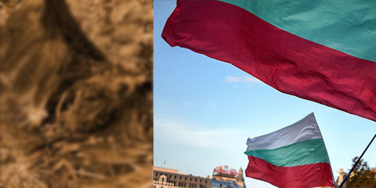 Bulgaristan Türkiye'den acil olarak yardım istemişti! Skandal ortaya çıktı, İstanbul'da ölü bulundu