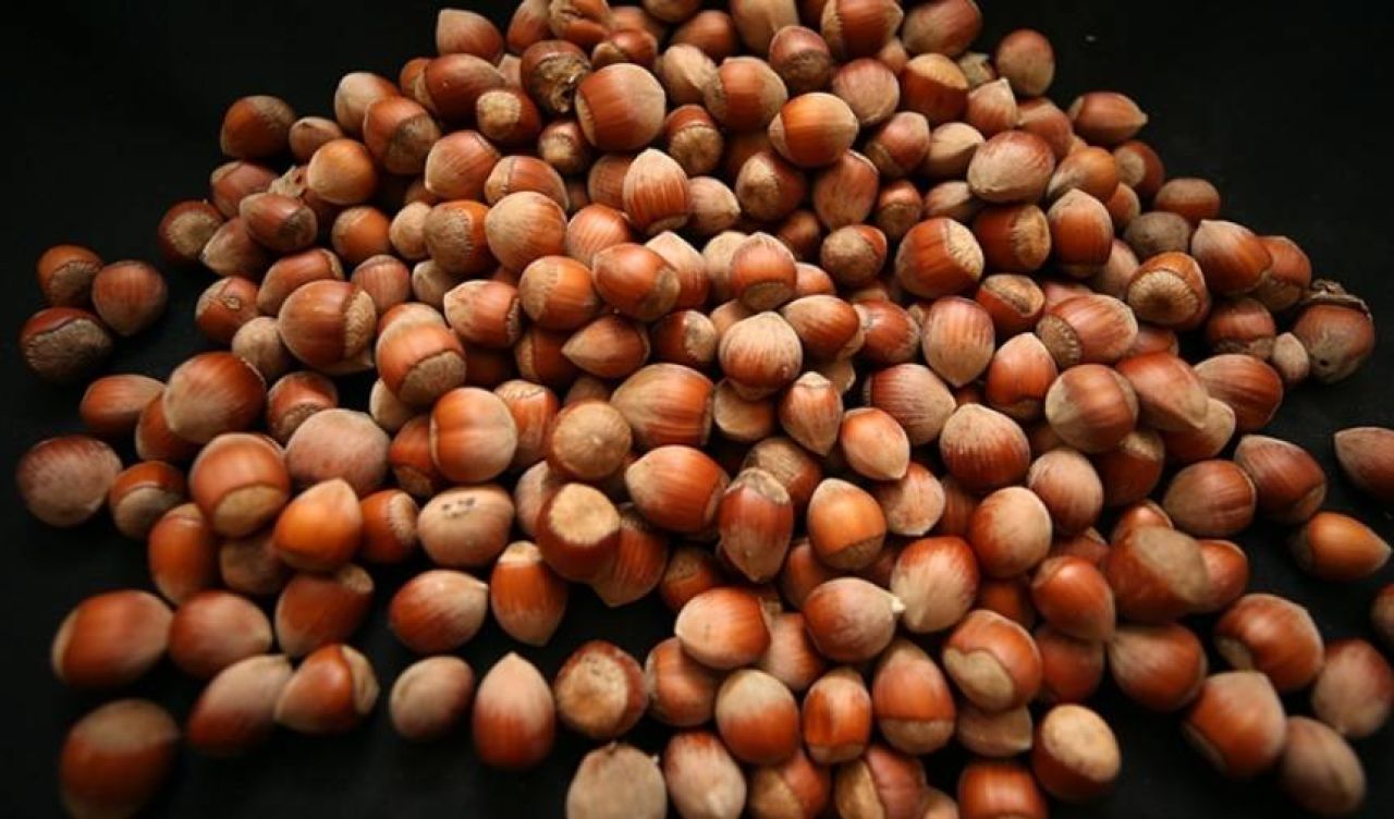 Türkiye'nin 5 aylık fındık ihracatı 1 milyar doları aştı