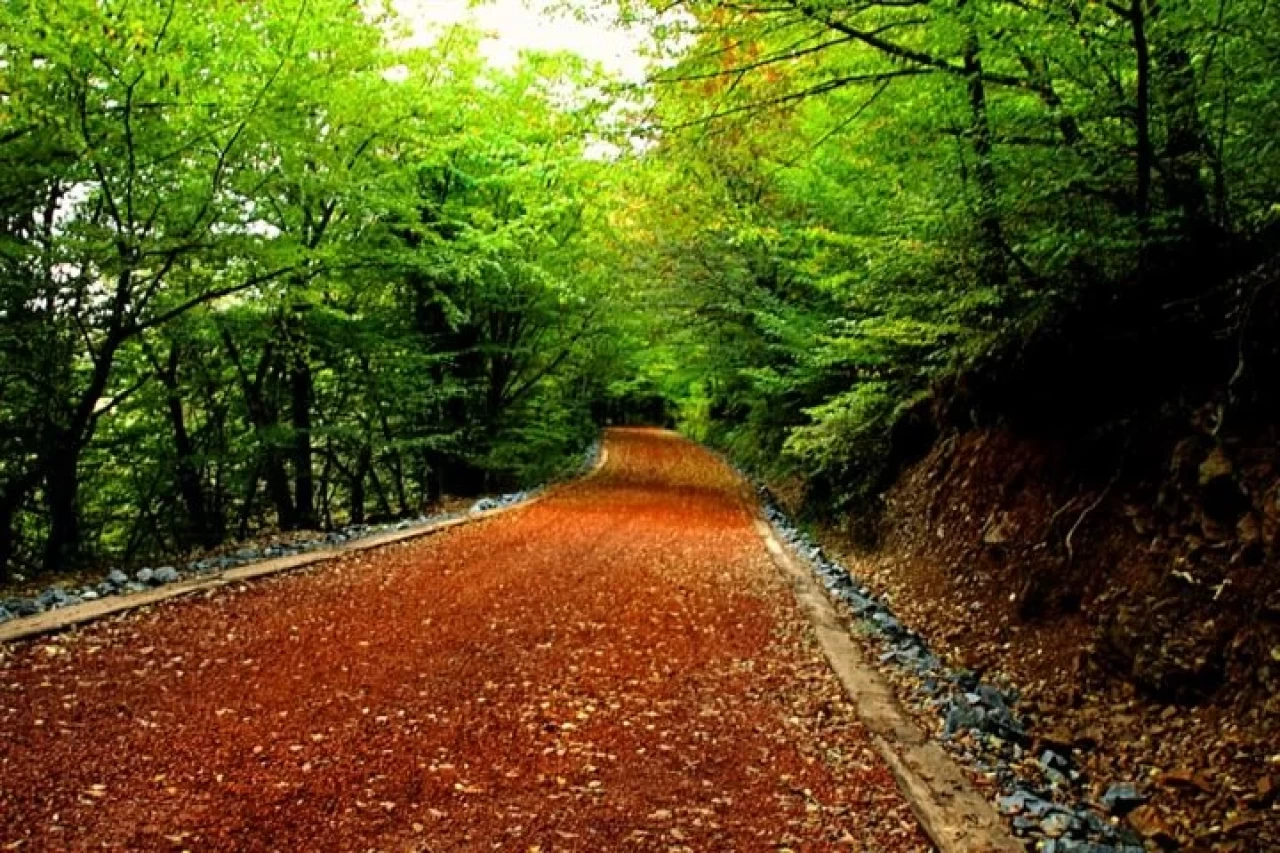 Belgrad Ormanı Giriş Ücreti (2024)