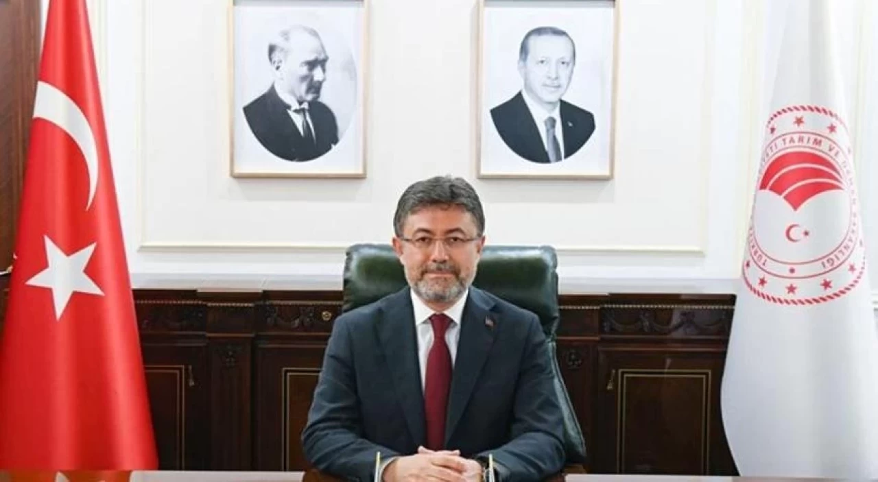 'Belgrad Ormanı yapılaşmaya açılacak' iddialarına Bakan Yumaklı'dan yanıt: Çivi bile çakılamaz!