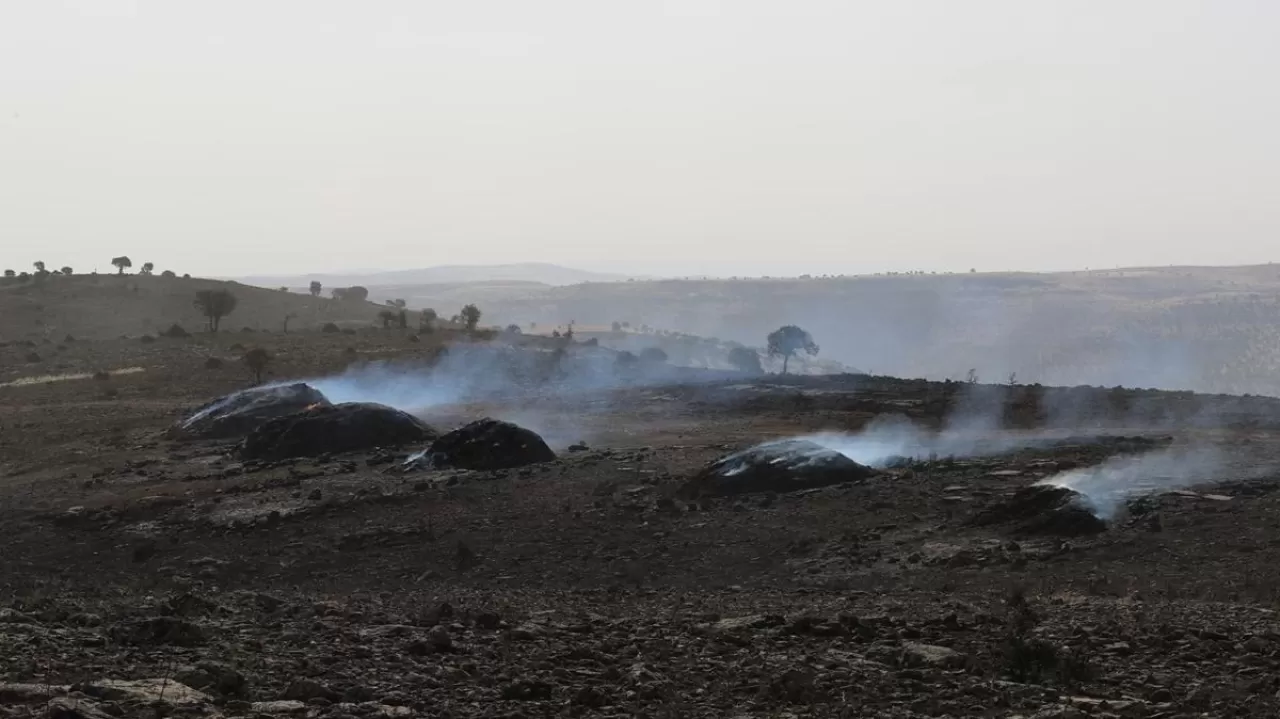 Diyarbakır ile Mardin arasında çıkan yangın hakkında soruşturma başlatıldı