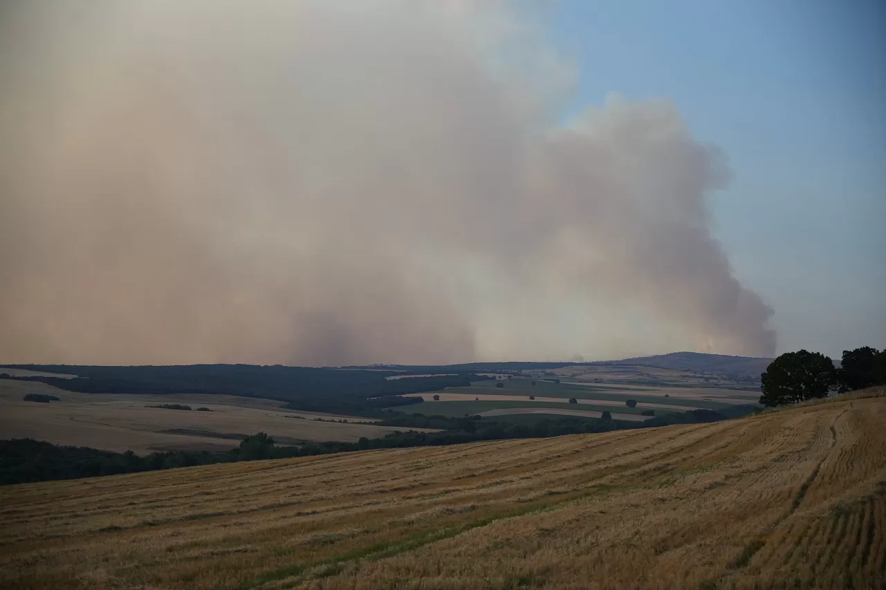 Bulgaristan'da başlayan yangın, Edirne sınırına doğru ilerliyor: Köy halkı endişeli!