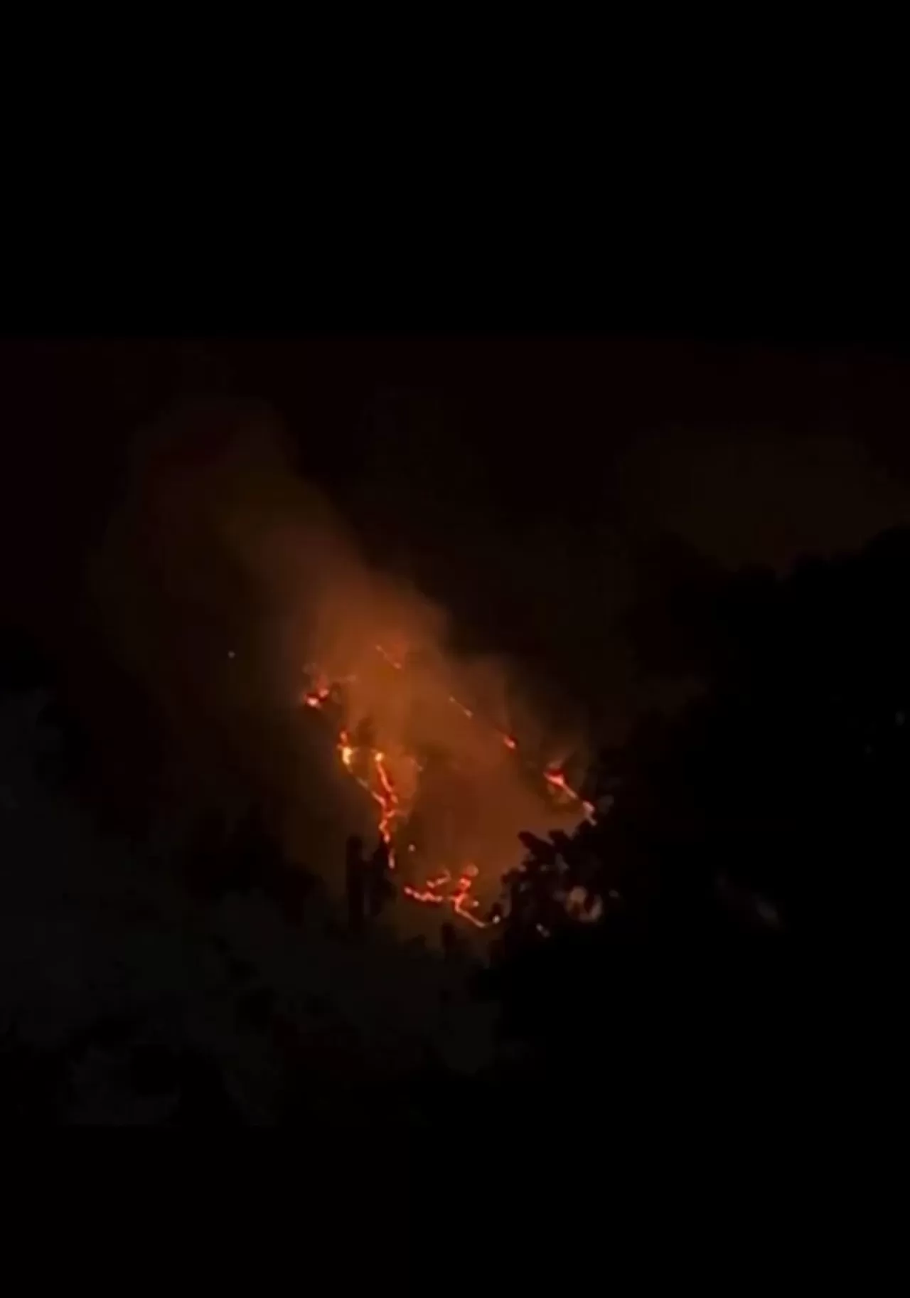 Bursa’daki orman yangınına müdahalede 7. saat