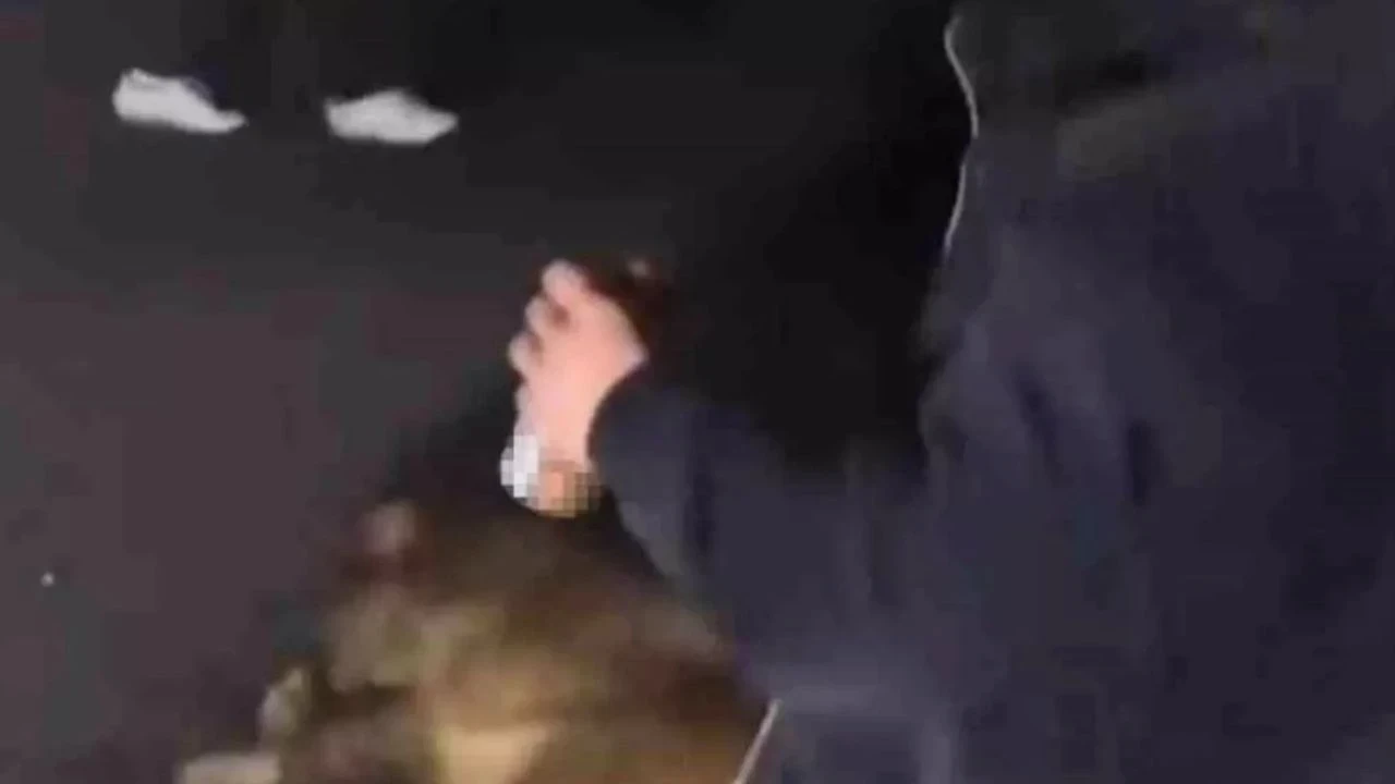 Sakarya'da yaralı domuza tekme atan alkollü 3 zanlı hakkında adli işlem yapıldı