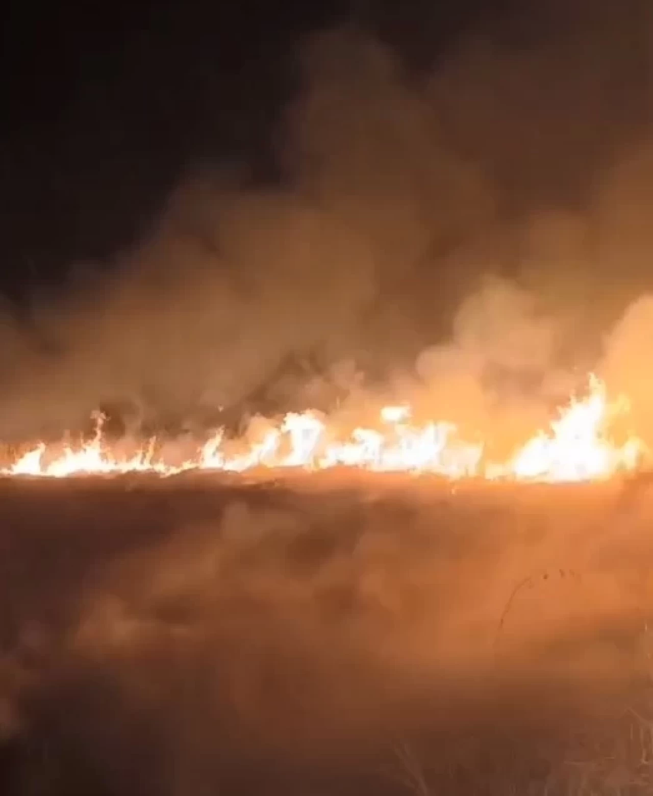 Sultan Sazlığı Milli Parkı'nda yangın çıktı