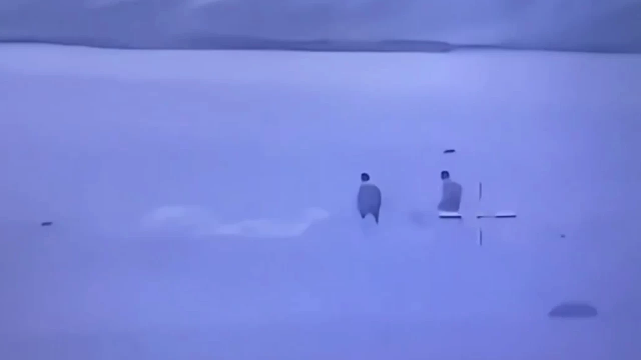 Şırnak'ta uyuşturucu operasyonu: 2 zehir taciri yakalandı