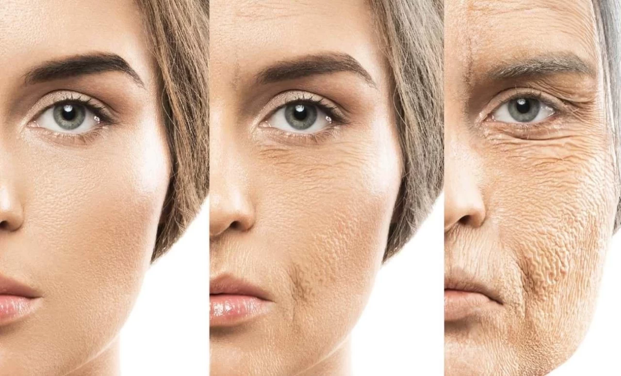 Kolajen Nedir? Kolejen Ne İşe Yarar?