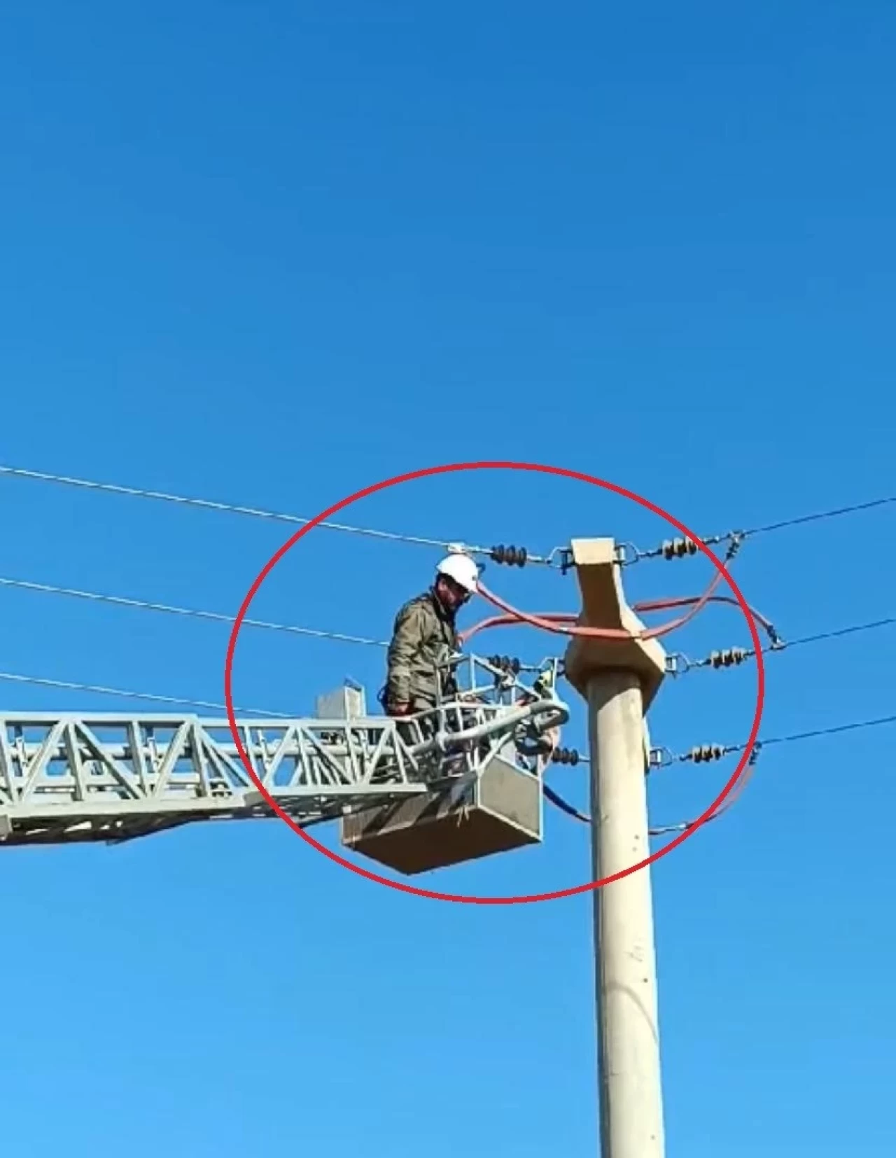 Diyarbakır’da yüksek gerilim hattına takılan güvercin kurtarıldı