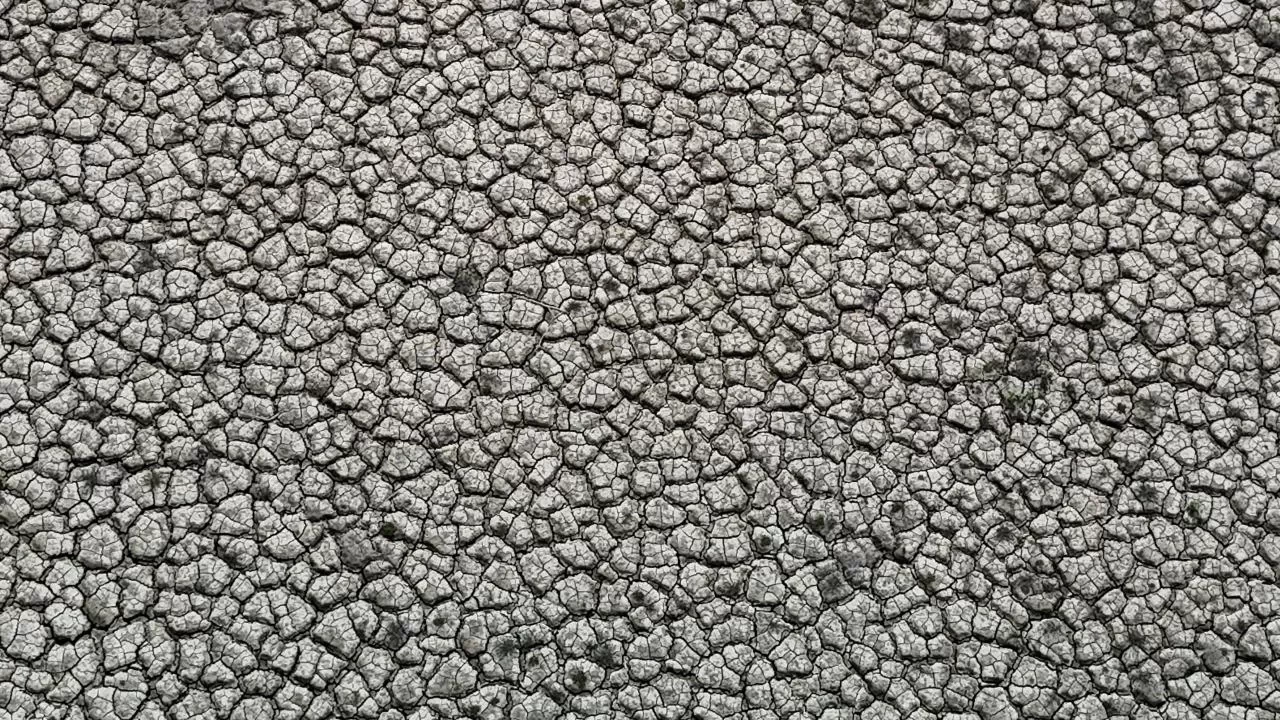 İstanbul'da barajlar alarm veriyor