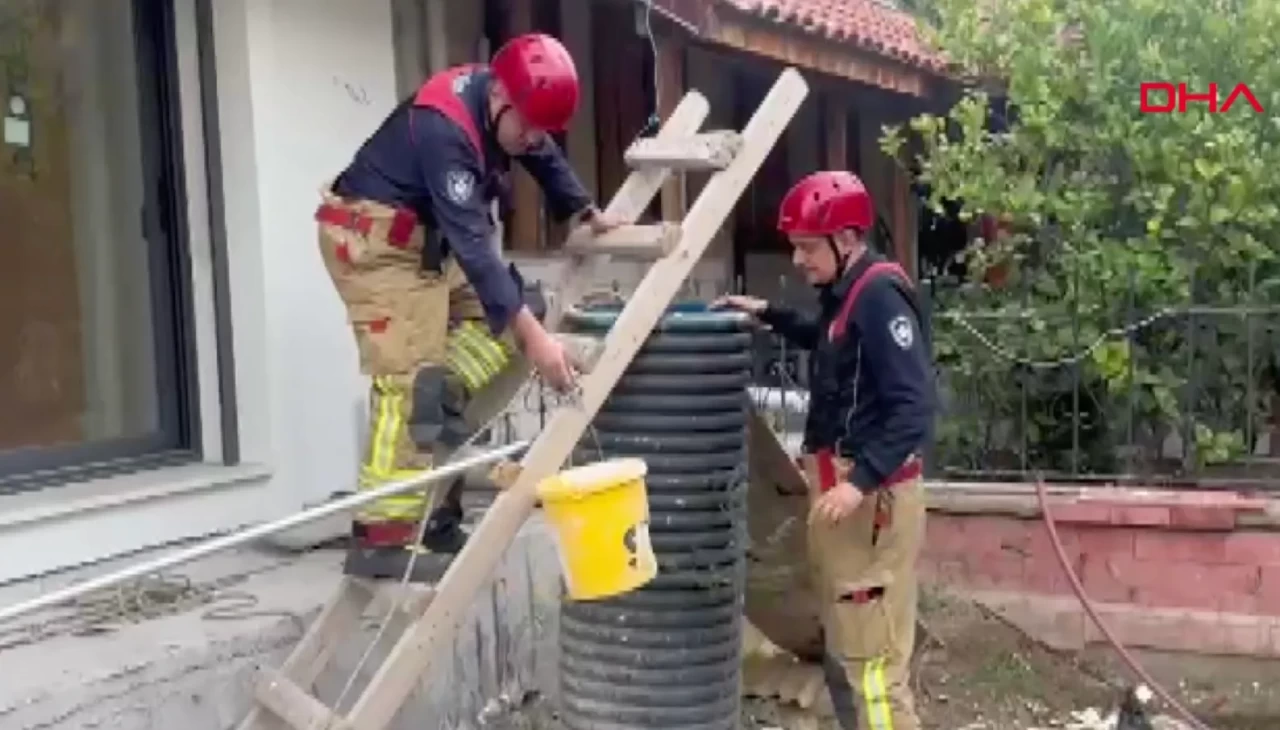 Turgutlu’da nefes kesen kurtarma: 8 metrelik boruya düşen kedi 1 saatte çıkarıldı