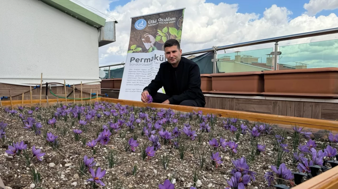 Ahmet Yiğit Yıldırım paylaştı: Safranın bereketi ve huzuru Ülkü Ocakları terasında buluştu